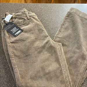 Women Corduroy Pants in Brown